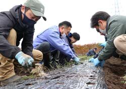 職員と交流を大切に　青年部塩尻支部タマネギ定植