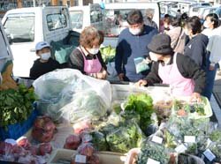 今期もありがとう　軽トラックの荷台に新鮮な野菜がずらり