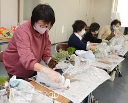 正月に飾ろう　新年を華やかに