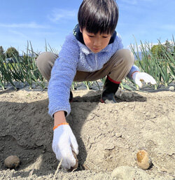 食の大切さについて学ぶ場を　神林おやこ夢あわせ農園、開園