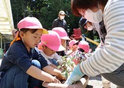 収穫を楽しみにしてね　女性部入山辺支部が園児に植え付け指導