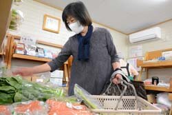 今季も営業スタート　「勇気野菜館」