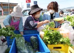 今年も安心安全な農作物をお届け　女性部軽ットラ市スタート