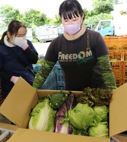 全国のファンへ届け！　朝日野菜BOX発送開始