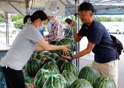 夏の味お待ちかね　すいか村今年もオープン