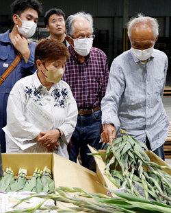 出荷最盛期にむけ万全な準備を　グラジオラス出荷目揃会開催