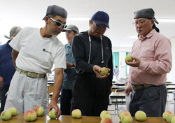 もも生育順調　主力品種出荷にむけ目揃会