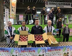 サンふじ・ナガイモ　シーズン到来　市場で生産者の思いを伝える