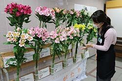 図書館を花で彩る　書籍やパネルも同時に展示