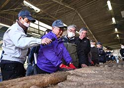 共同育種・栽培試験を行い安定したナガイモを 種ナガイモ選抜会