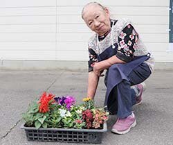 花で彩り心豊かに　花苗配付活動