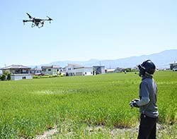 初のドローン導入　より一層安全な小麦を
