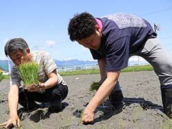 産地の思いをつなぐ　実需者と田植え体験