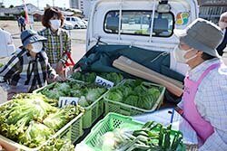 今年も安心安全な農作物をお届け　女性部軽ットラ市スタート