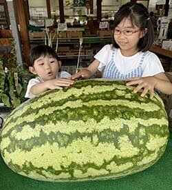 スタンド・配送センター
