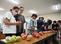 早生りんご甘く仕上がる　シナノリップ目揃会