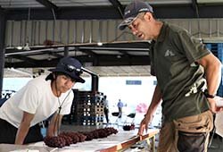 山辺ぶどう出荷所　露地デラウェア目揃会