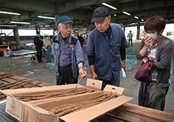 ゴボウ高品質に規格を遵守　目揃会を開催