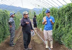 高品質を追究　ナガイモ栽培現地講習会