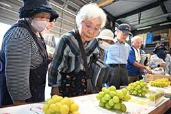 大粒ぶどう糖度しっかり　検査規格厳格に