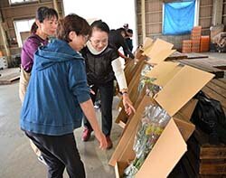秋冬に向け今年二度目の目揃い　アルストロメリア秋の目揃会