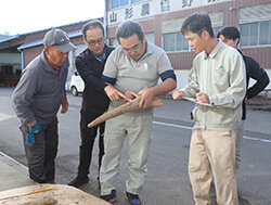 今年の生育を確認　ナガイモ試し掘り