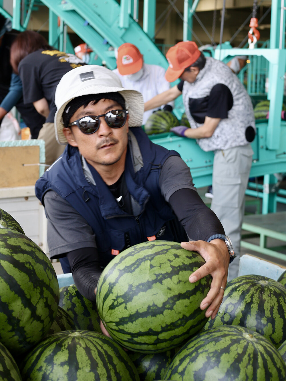 暑さを吹き飛ばせ！　露地すいか出荷スタート
