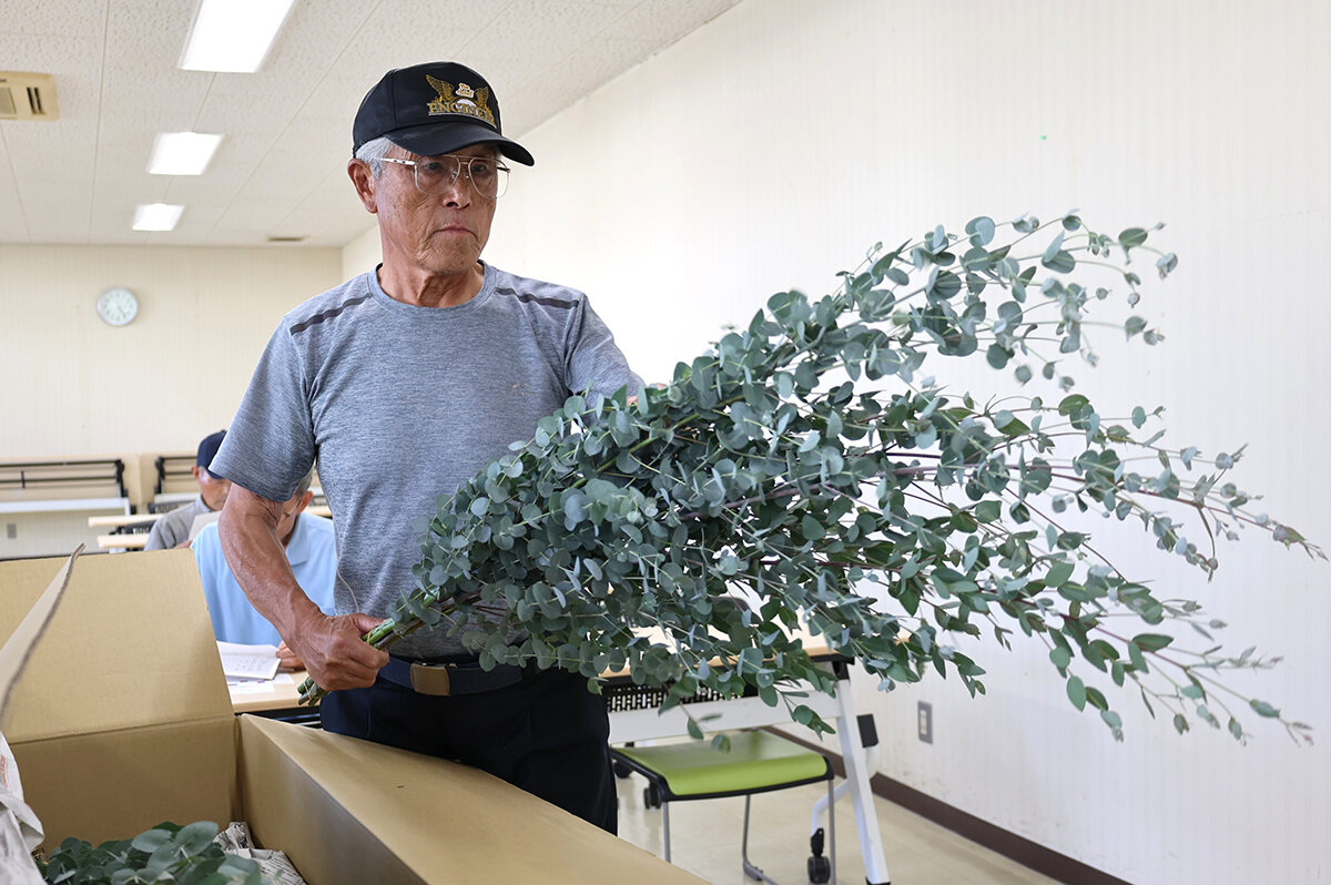 生産者拡大　ユーカリ出荷目揃会
