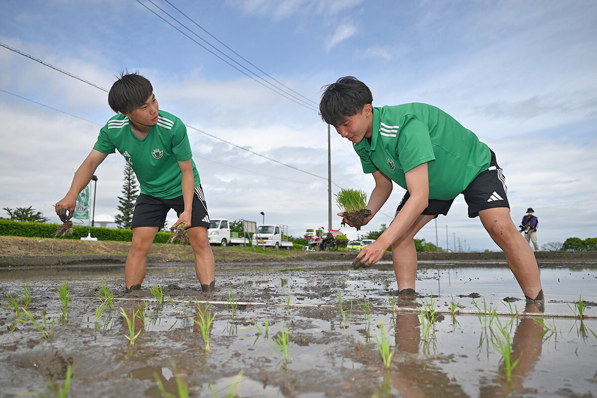 スタンド・配送センター