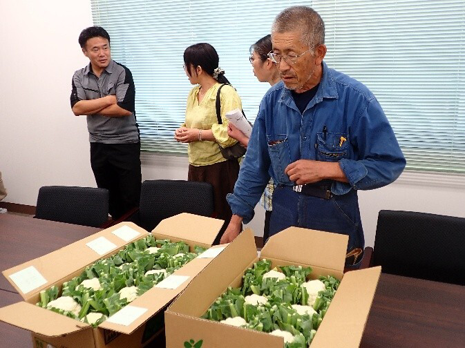 秋作葉洋菜類目揃会 出荷規格を再確認