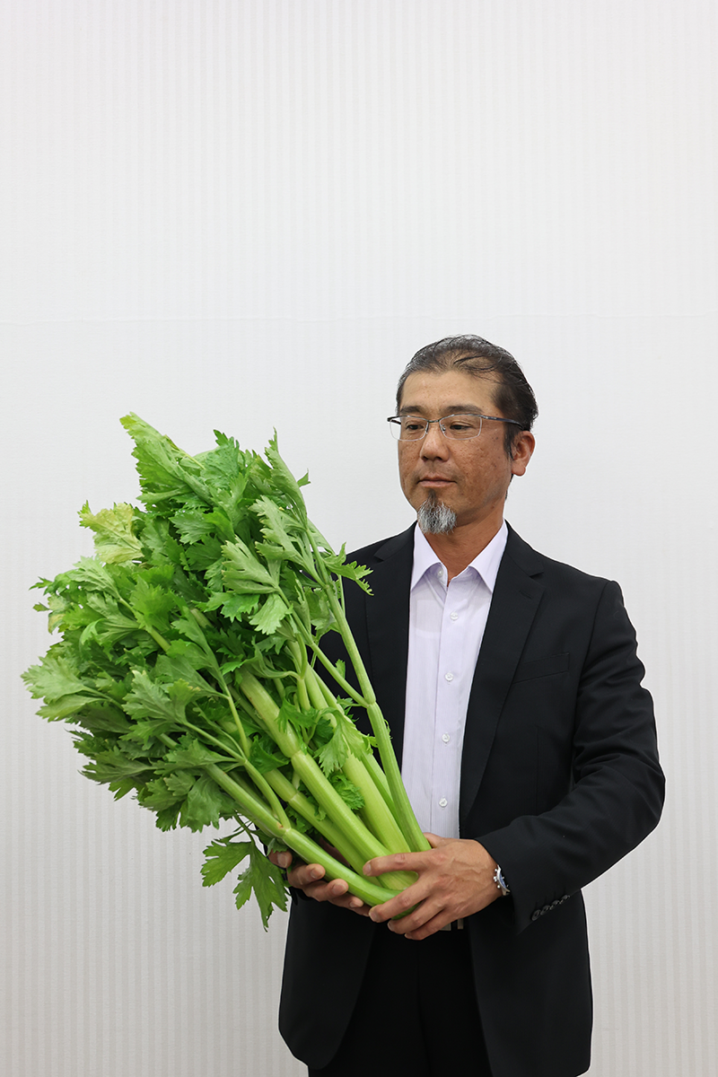 セルリー出荷目揃会