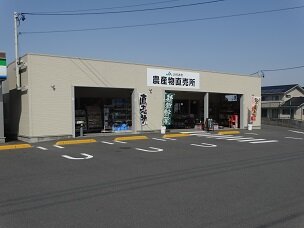 858_1.jpg