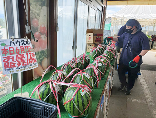 すいかのシーズン到来です！