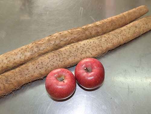 ナガイモやりんごがおすすめ