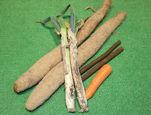 地元産のナガイモ・ごぼう・にんじん・松本一本ネギなどが並んでいます